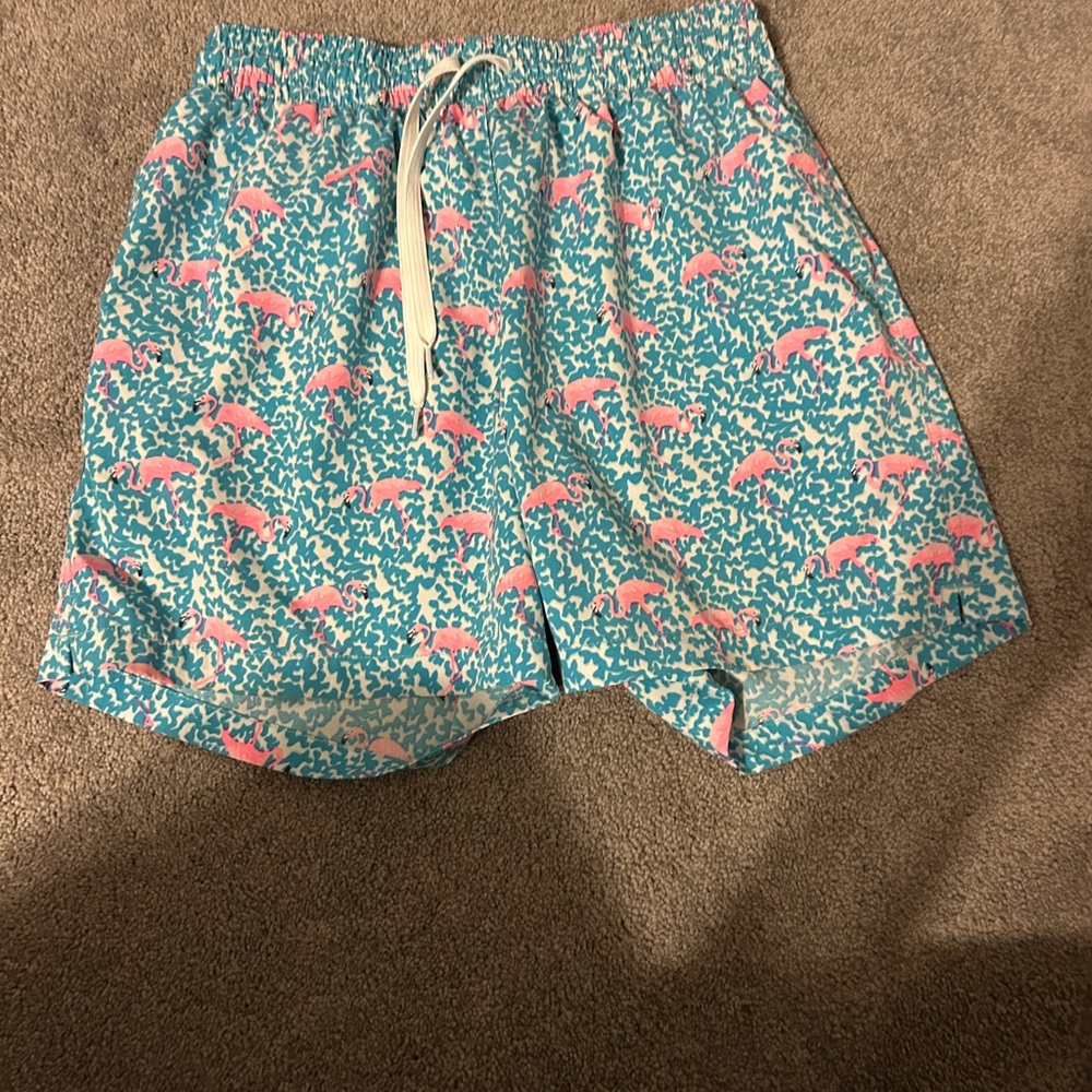 Chubbies Blue and Pink Athletic Shorts